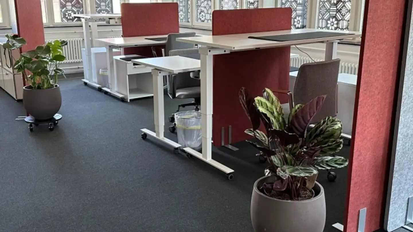 Office space for rent - Obere Bahnhofstrasse 5, 8910 Affoltern am Albis - Photo 3