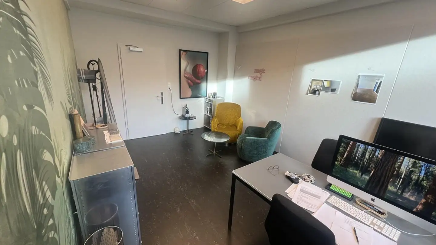 Bürofläche mieten - Langgrütstrasse 112, 8047 Zürich - Foto 3