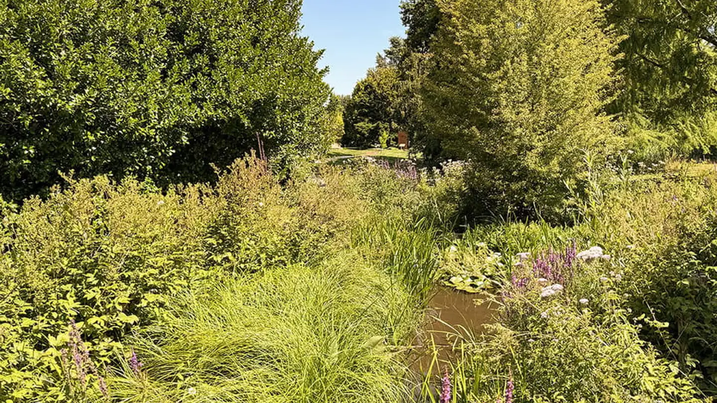 Single house for sale - 1260 Nyon - Photo 3