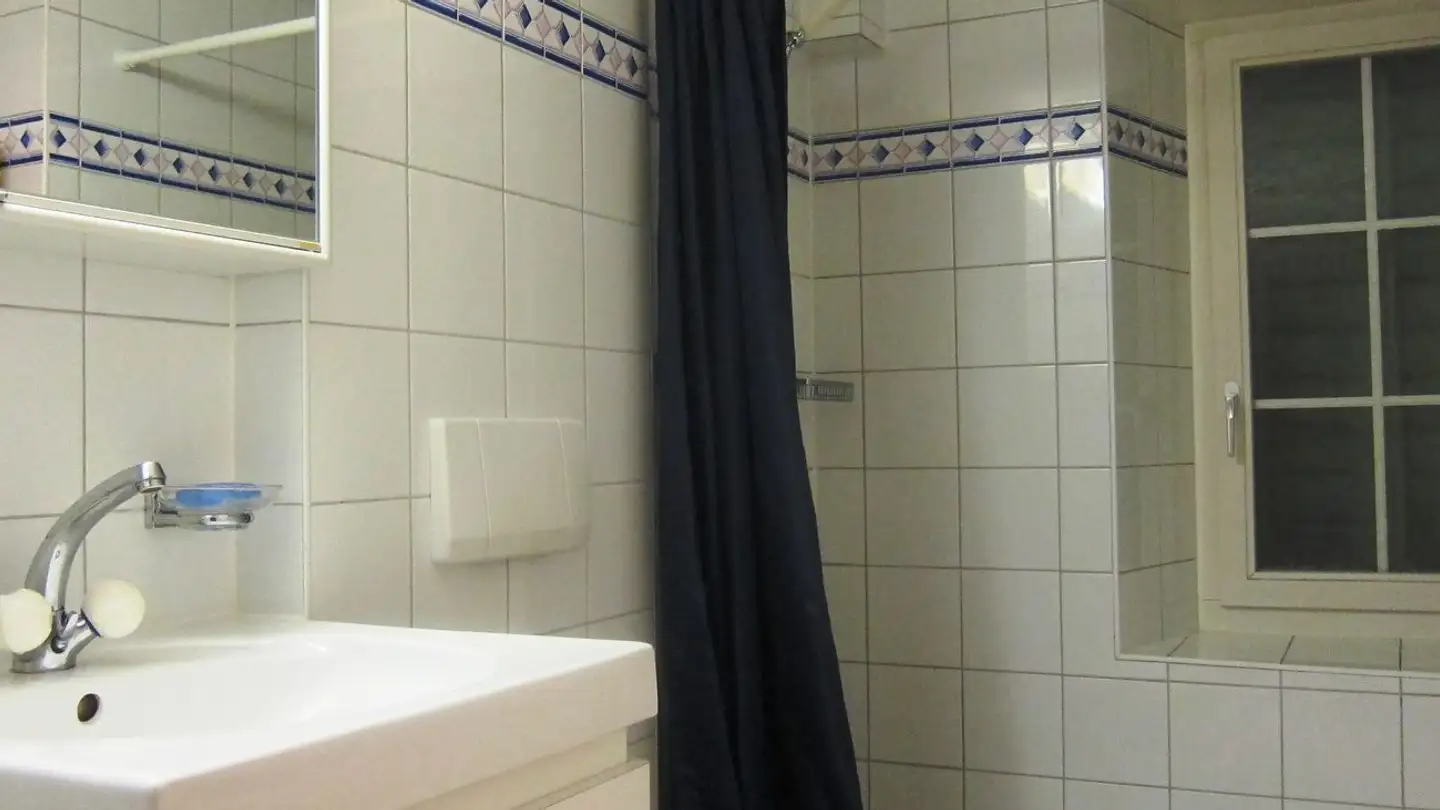 Wohnung mieten - 8820 Wädenswil - Foto 3