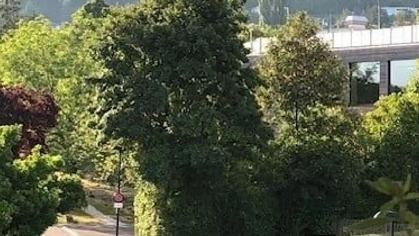 Attique à vendre - Mattweg 74, 4144 Arlesheim - Photo 2