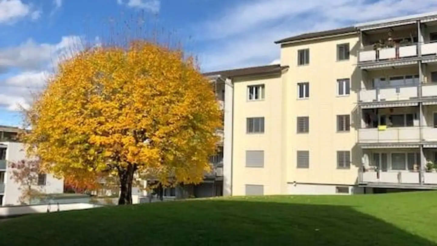Appartement à louer - Alfred-Schindlerstrasse 40, 6030 Ebikon