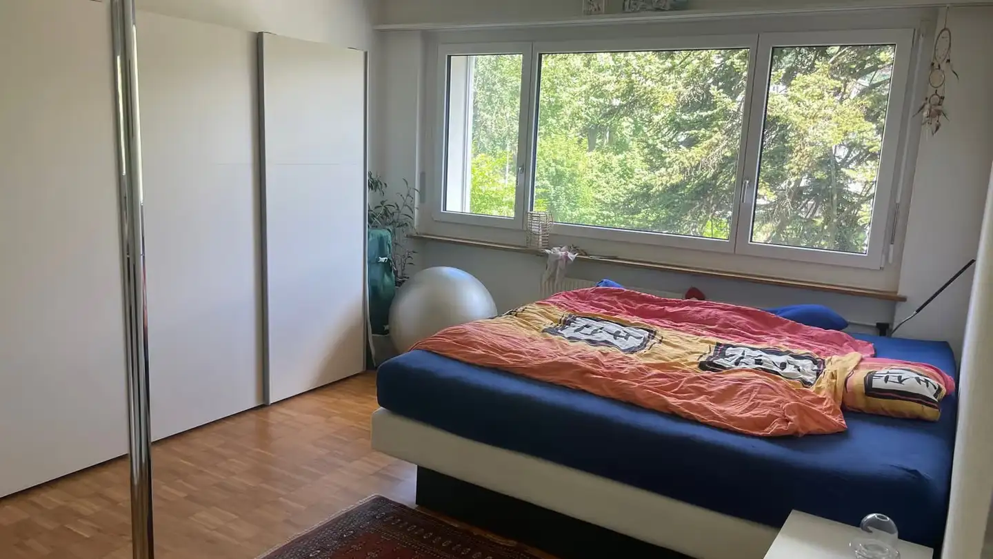 Apartment for rent - Scherzligweg 12, 3600 Thun - Photo 4