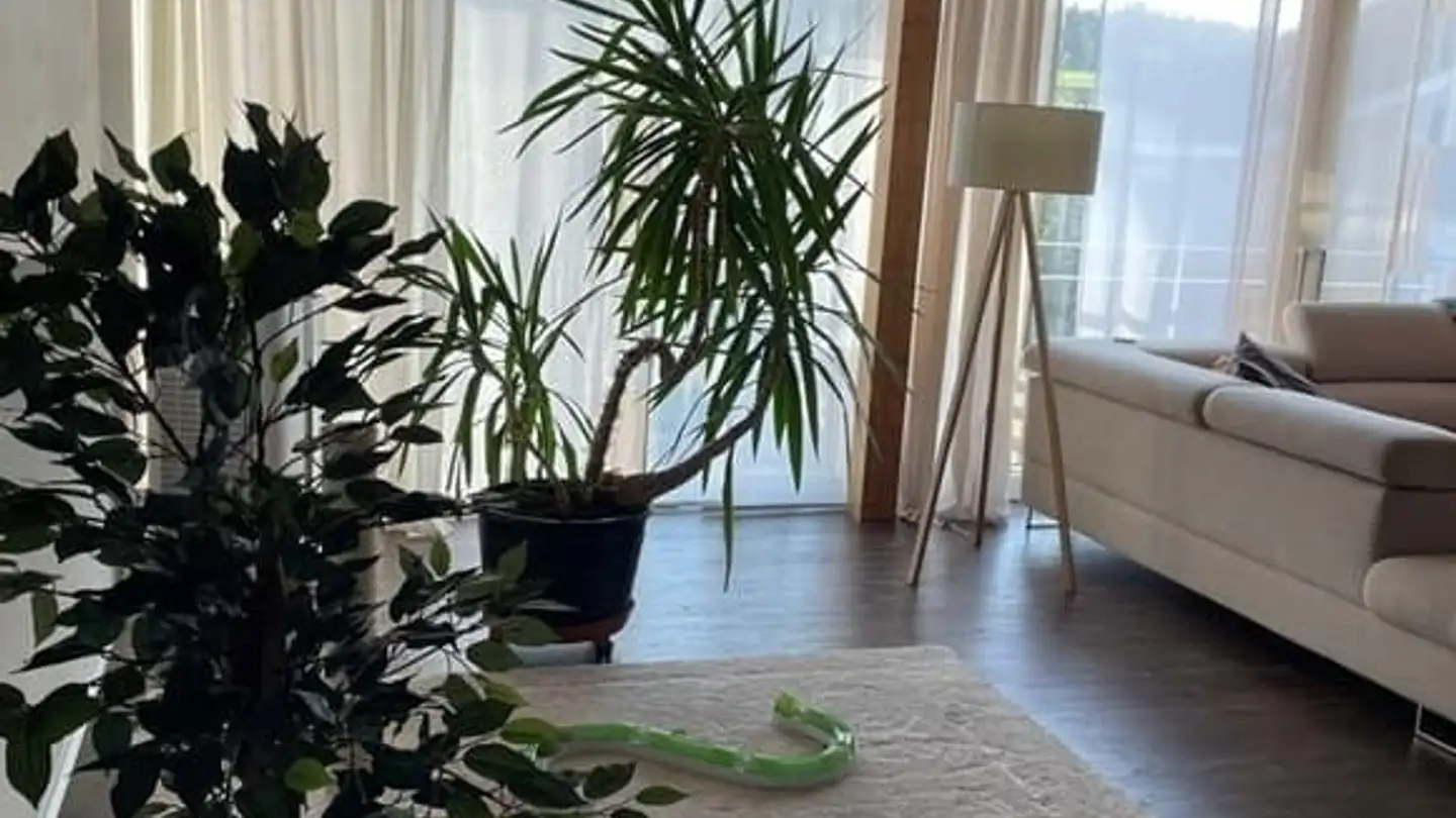 Appartement à louer - 1792 Cordast - Photo 4