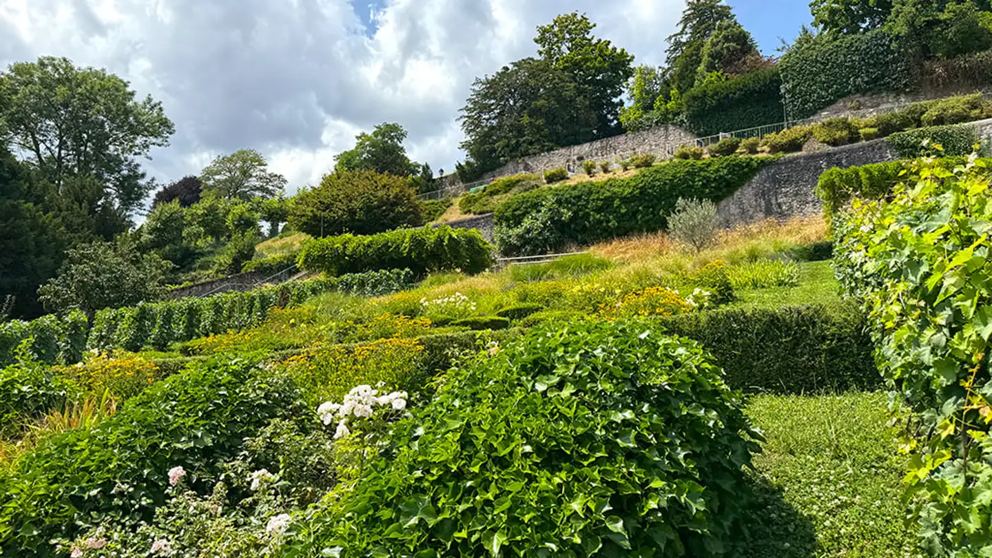 Wohnung kaufen - 1260 Nyon - Foto 4