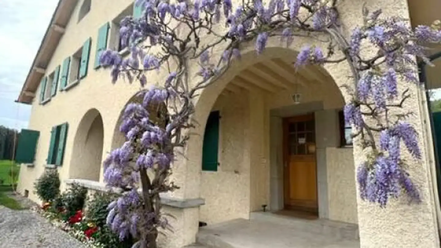 Stepped apartment for rent - Route Des Chevaliers-De-Malte 39, 1228 Plan-les-Ouates - Photo 2