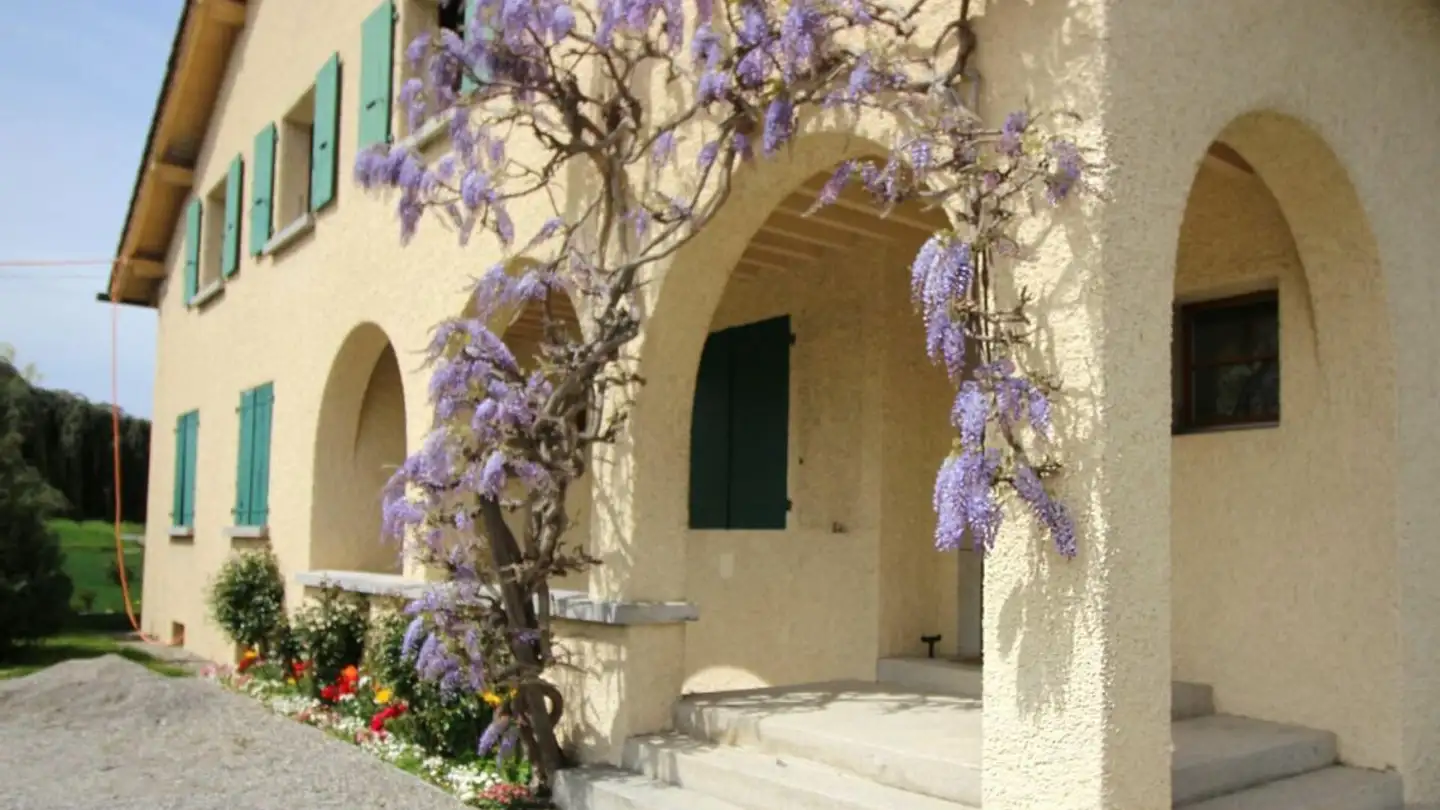 Stepped apartment for rent - Route Des Chevaliers-De-Malte 39, 1228 Plan-les-Ouates