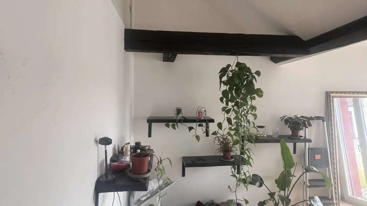 Single room for rent - Dolderweg 2, 4058 Basel - Photo 2