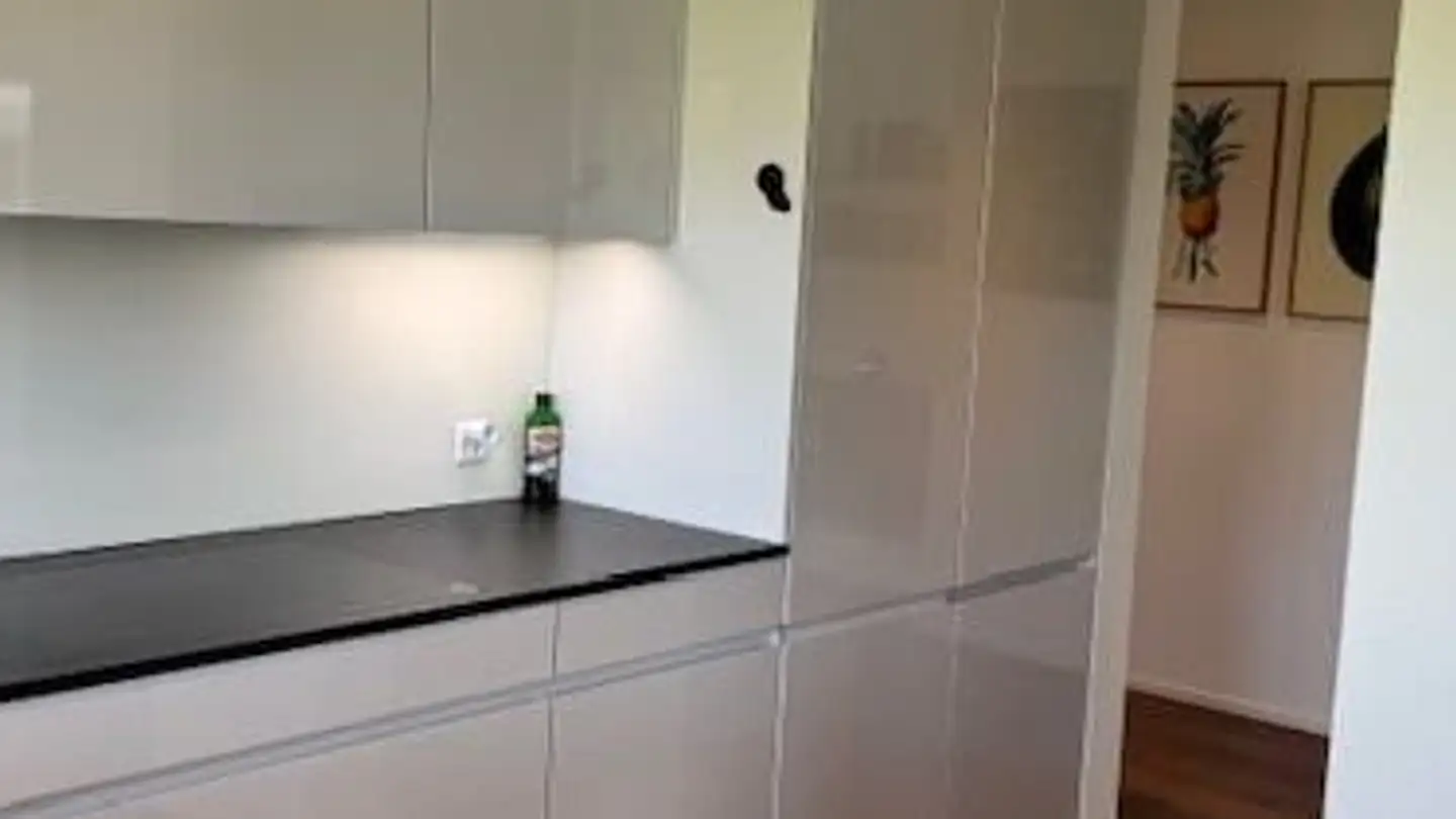 Appartement à louer - Opfikonerstrasse 3, 8303 Bassersdorf - Photo 4