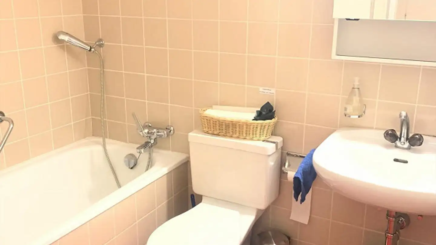 Appartamento in affitto - Walther-Bringolf-Platz 6, 8200 Schaffhausen - Foto 2