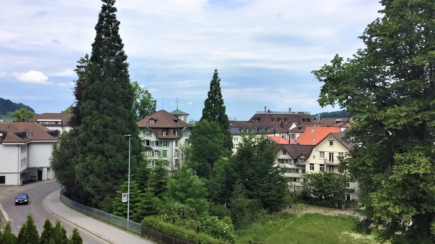 Appartement à louer - Eggstrasse 13, 9100 Herisau - Photo 3