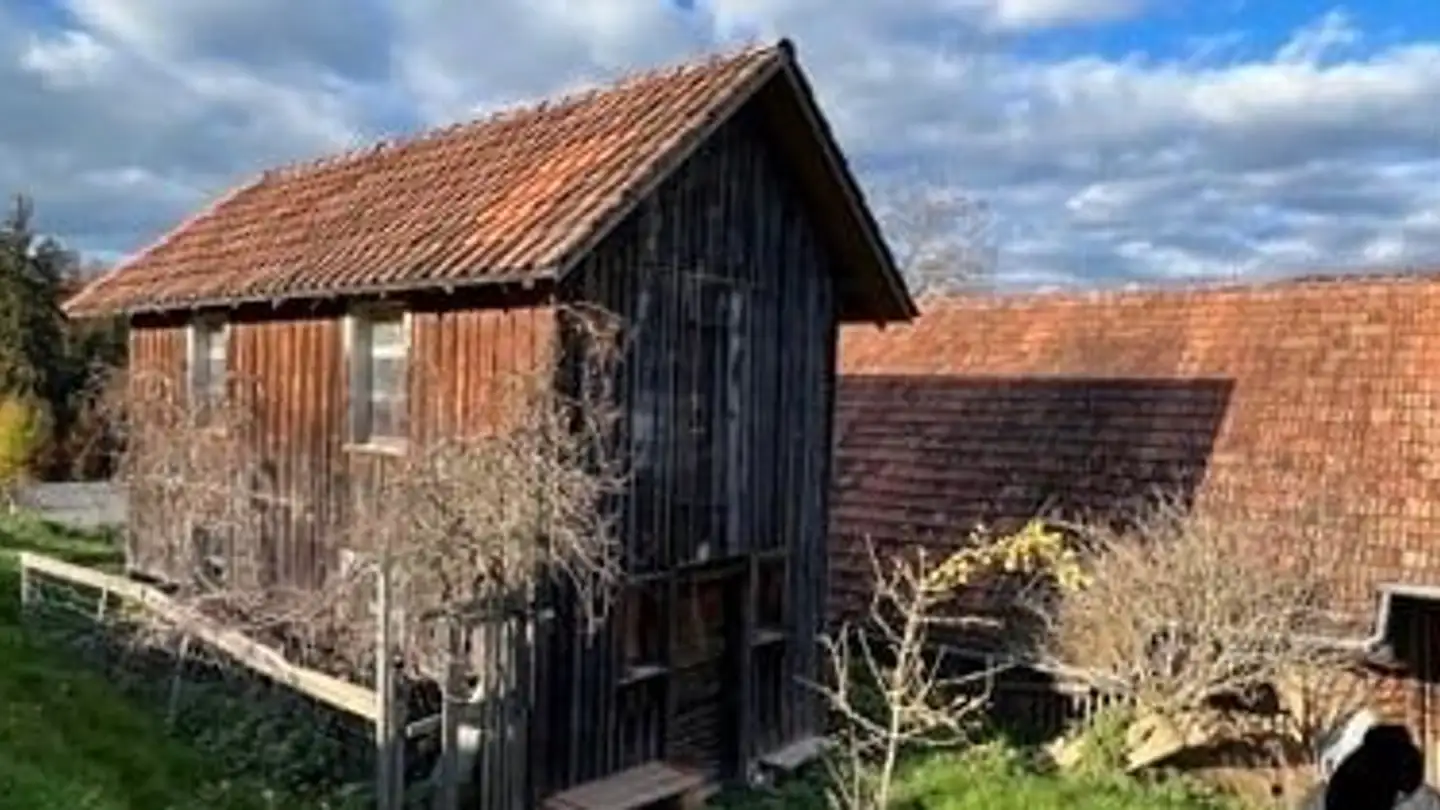 Farm for rent - Flädermus 1, 8932 Mettmenstetten