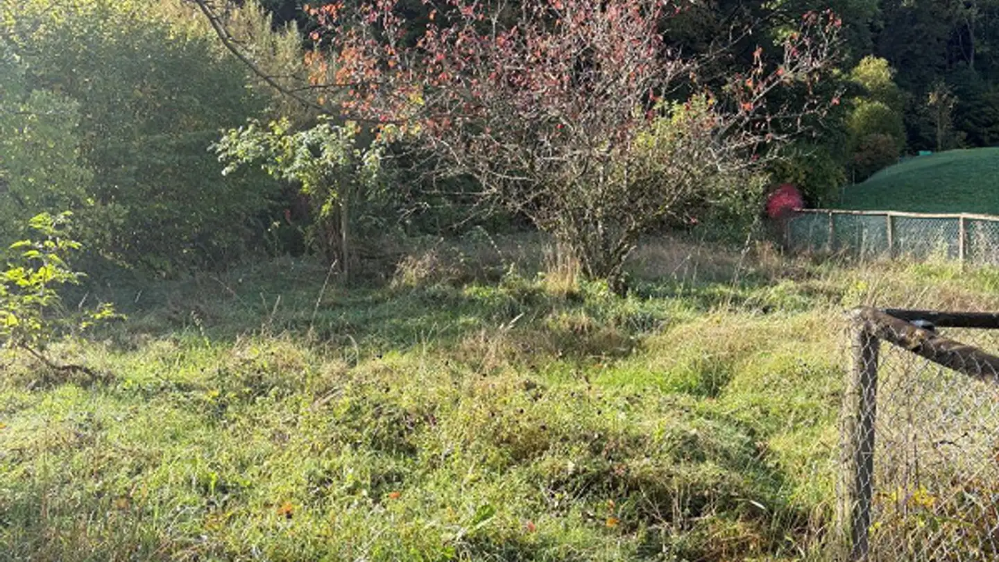 Einfamilienhaus kaufen - Wasserfluhstrasse 7, 9125 Brunnadern - Foto 3