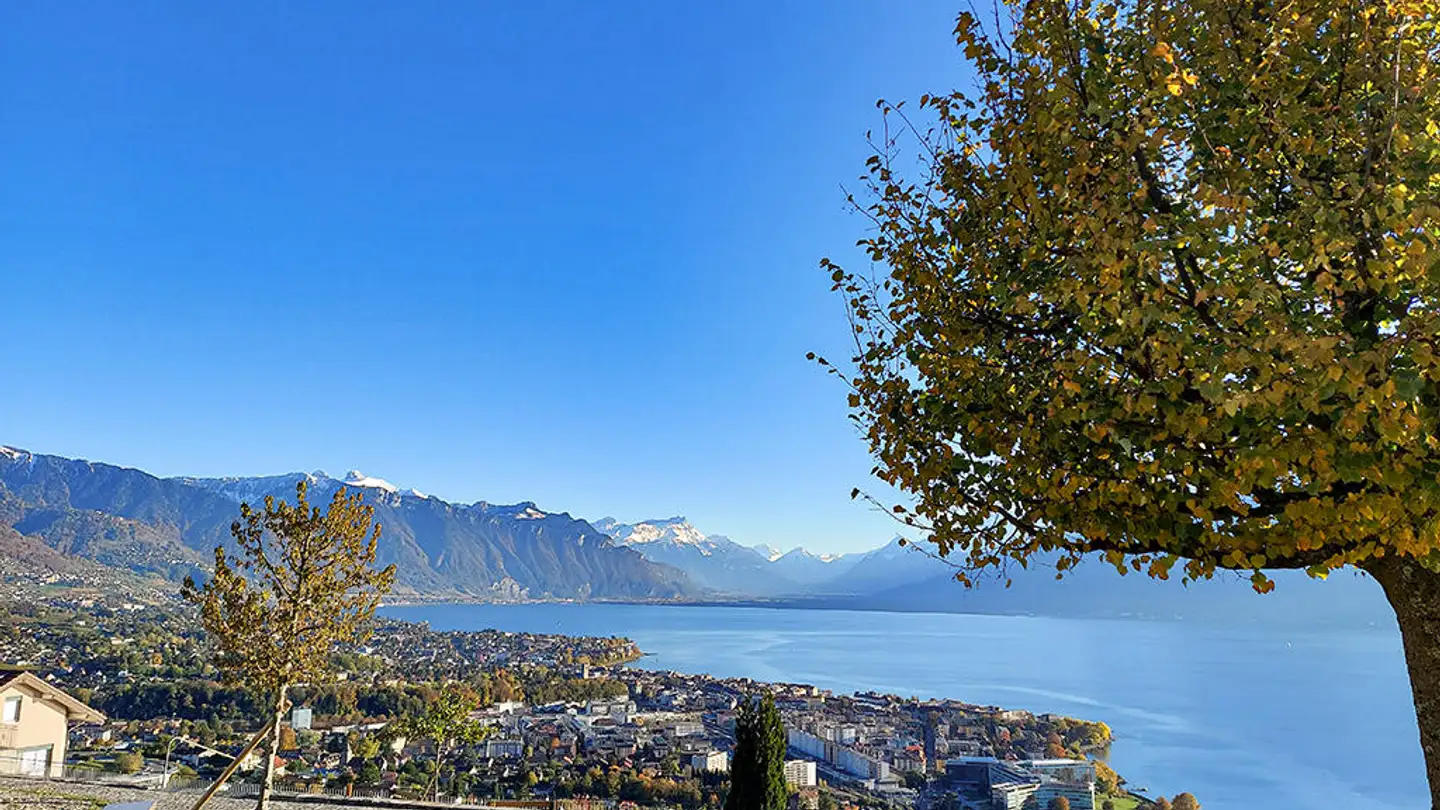 Villa for sale - 1803 Chardonne