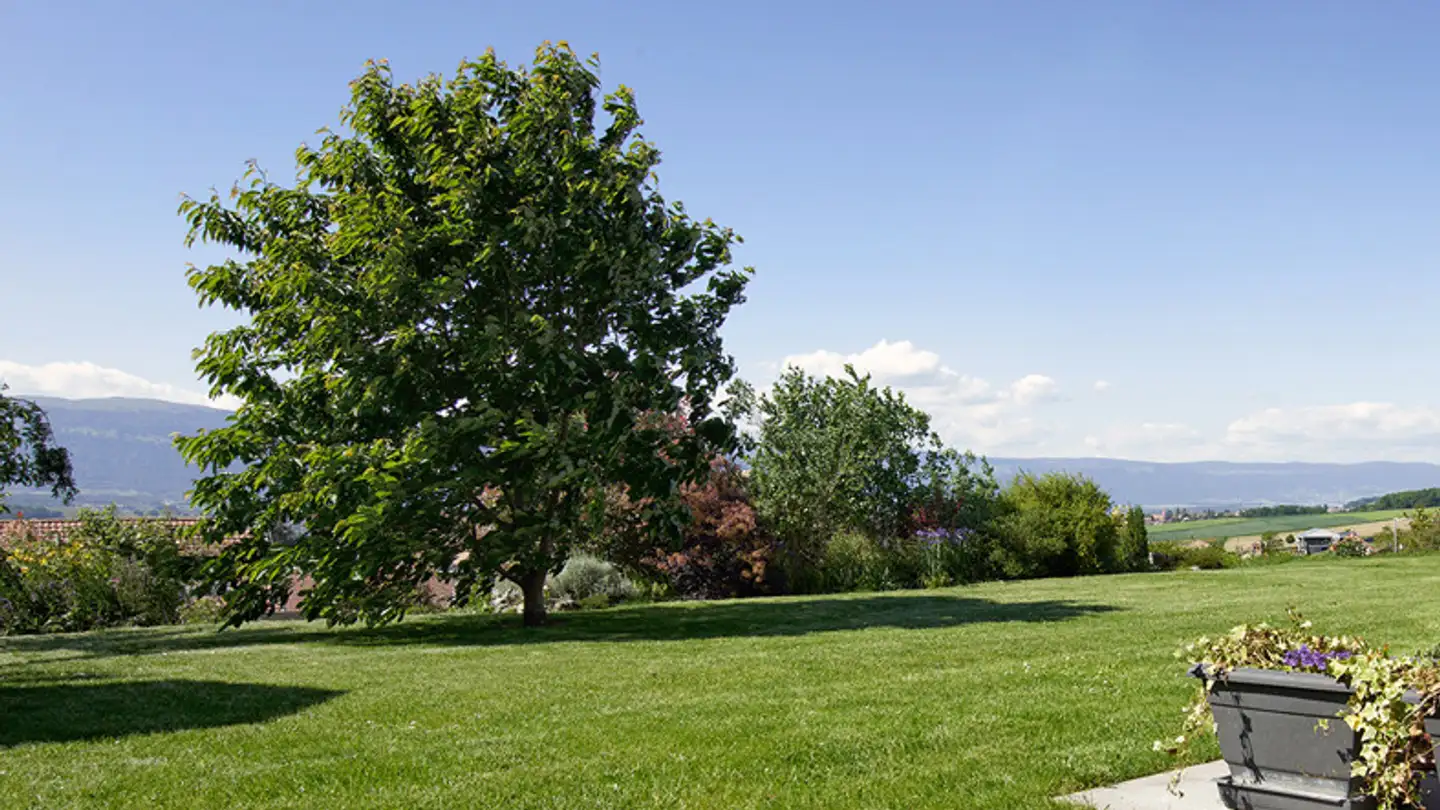 Wohnung kaufen - 1000 Lausanne 25
