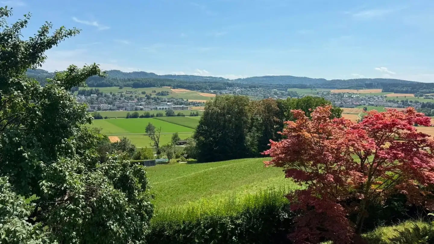 Stepped apartment for rent - Lüttenbergstrasse 22, 8906 Bonstetten