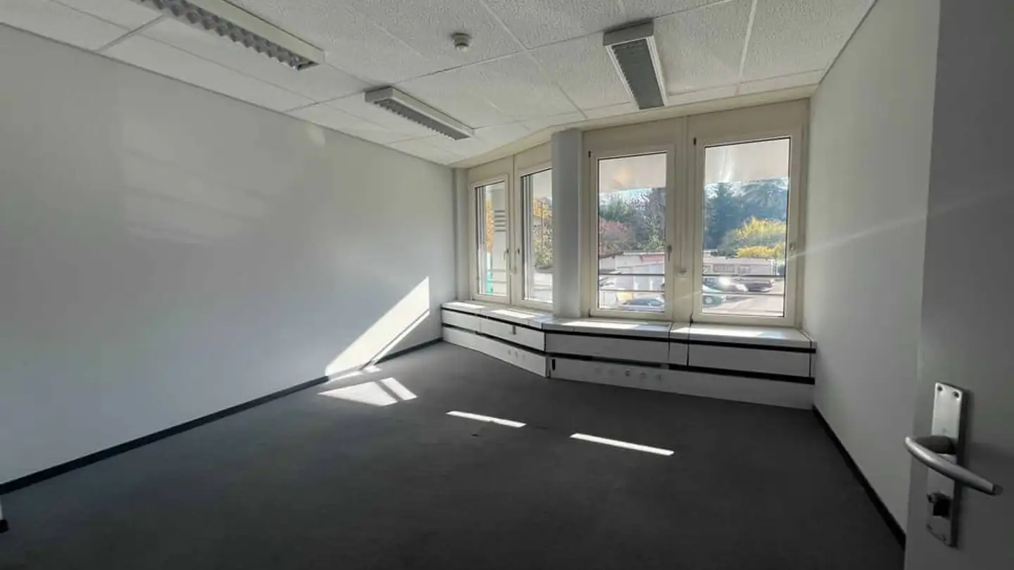 Commercial à louer - Impasse Colombelle 8, 1218 Le Grand-Saconnex - Photo 4