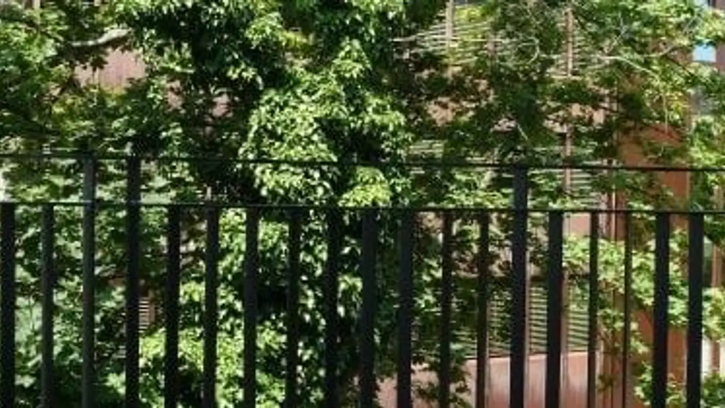 Appartamento in affitto - Schaffhauserstrasse 3, 8400 Winterthur - Photo 2