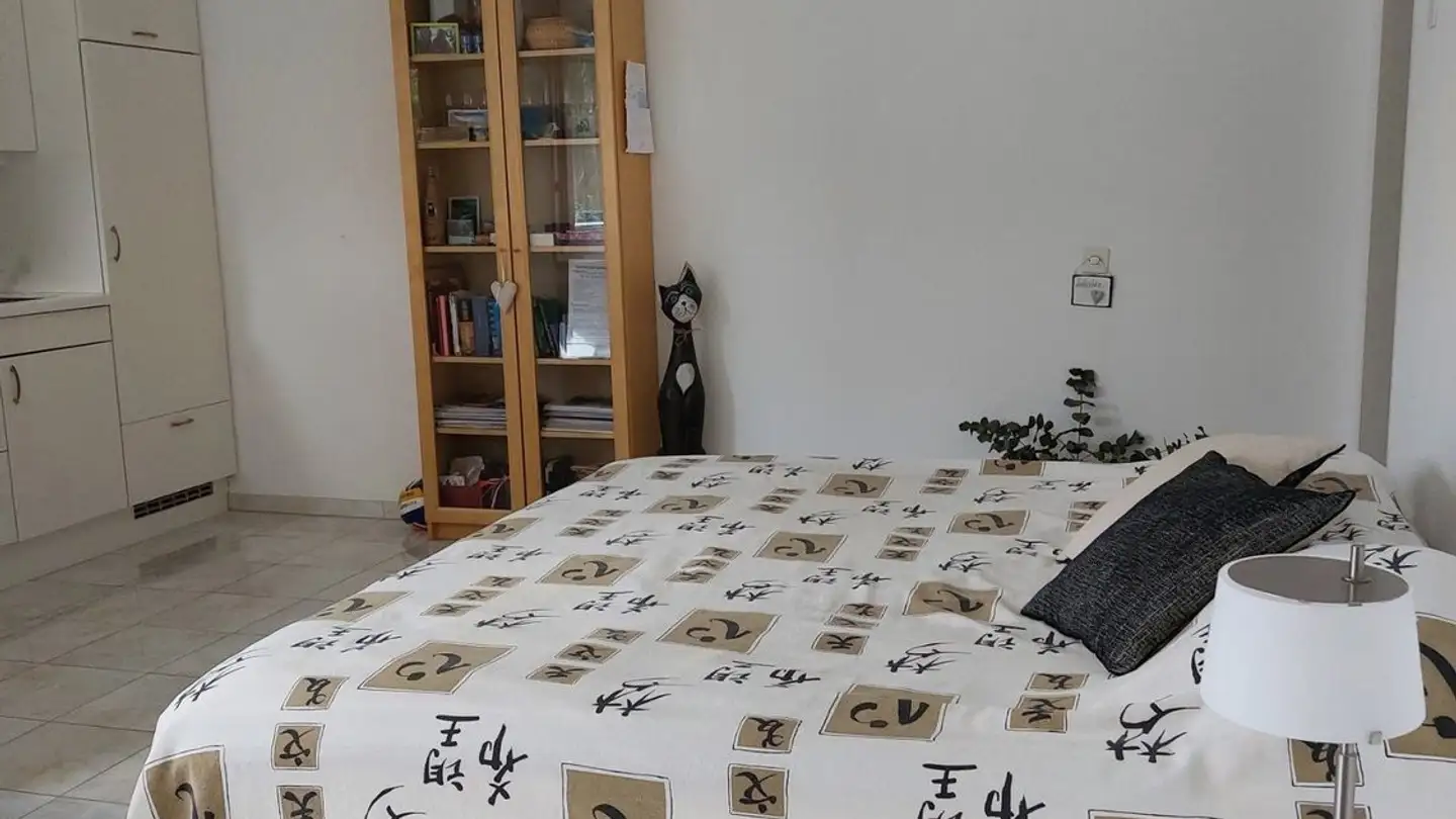 Appartamento in affitto - Via Lido, 6612 Ascona - Photo 2