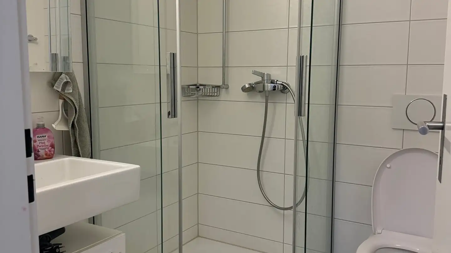 Apartment for rent - Schützenmatt 19, 3280 Murten - Photo 4