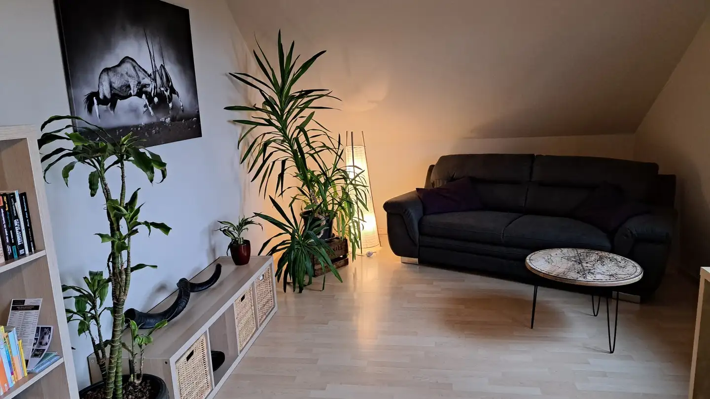 Appartement à louer - 3322 Urtenen-Schönbühl - Photo 3