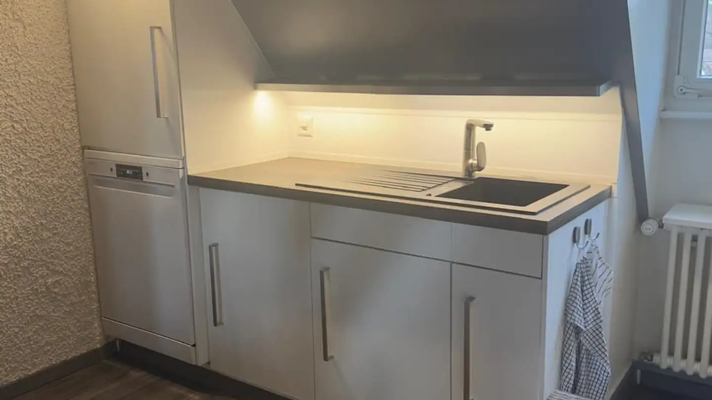 Appartamento in affitto - Route Aloys-Fauquez 55, 1018 Lausanne - Foto 2