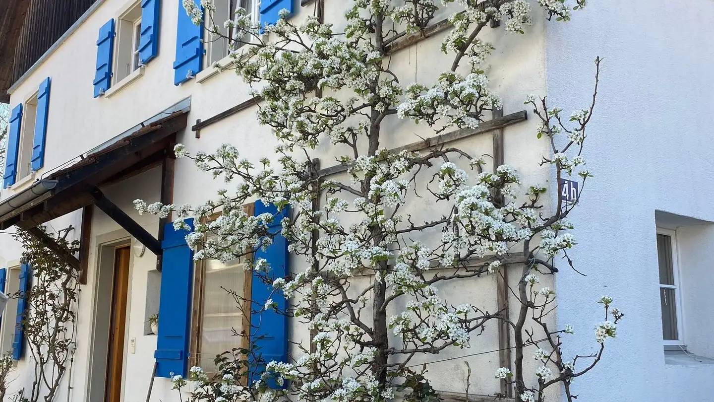 Wohnung mieten - Kirchrain 4b, 8124 Maur