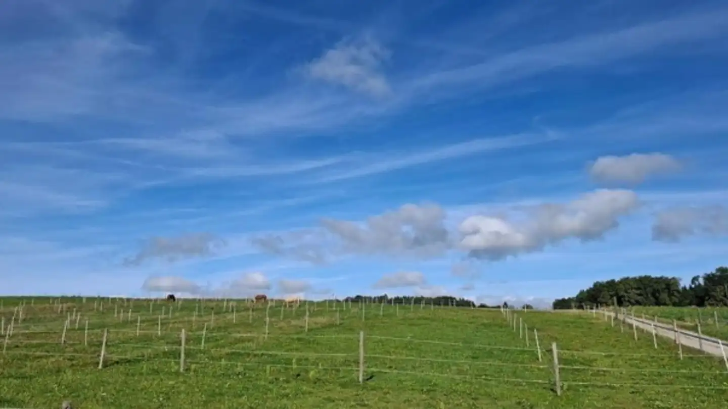 Spazio ufficio in affitto - Route Du Village 17, 1772 Ponthaux - Photo 2