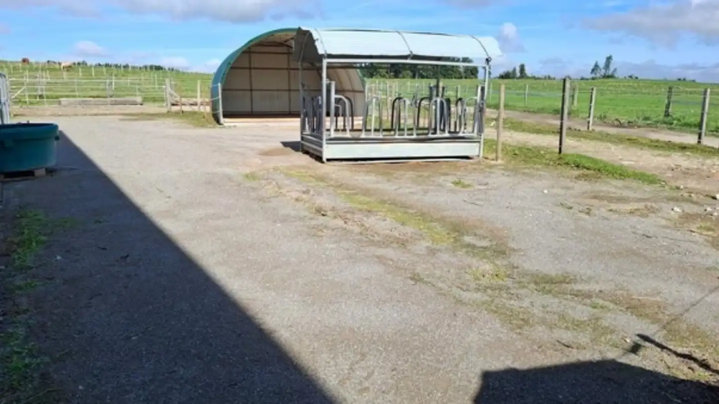 Spazio ufficio in affitto - Route Du Village 17, 1772 Ponthaux - Photo 4