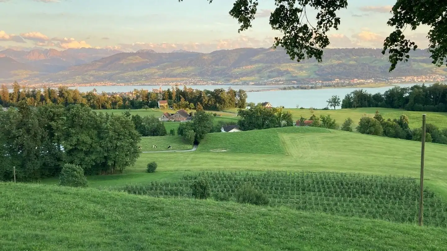 Appartamento in affitto - Schwösterrain, 8714 Feldbach - Photo 2