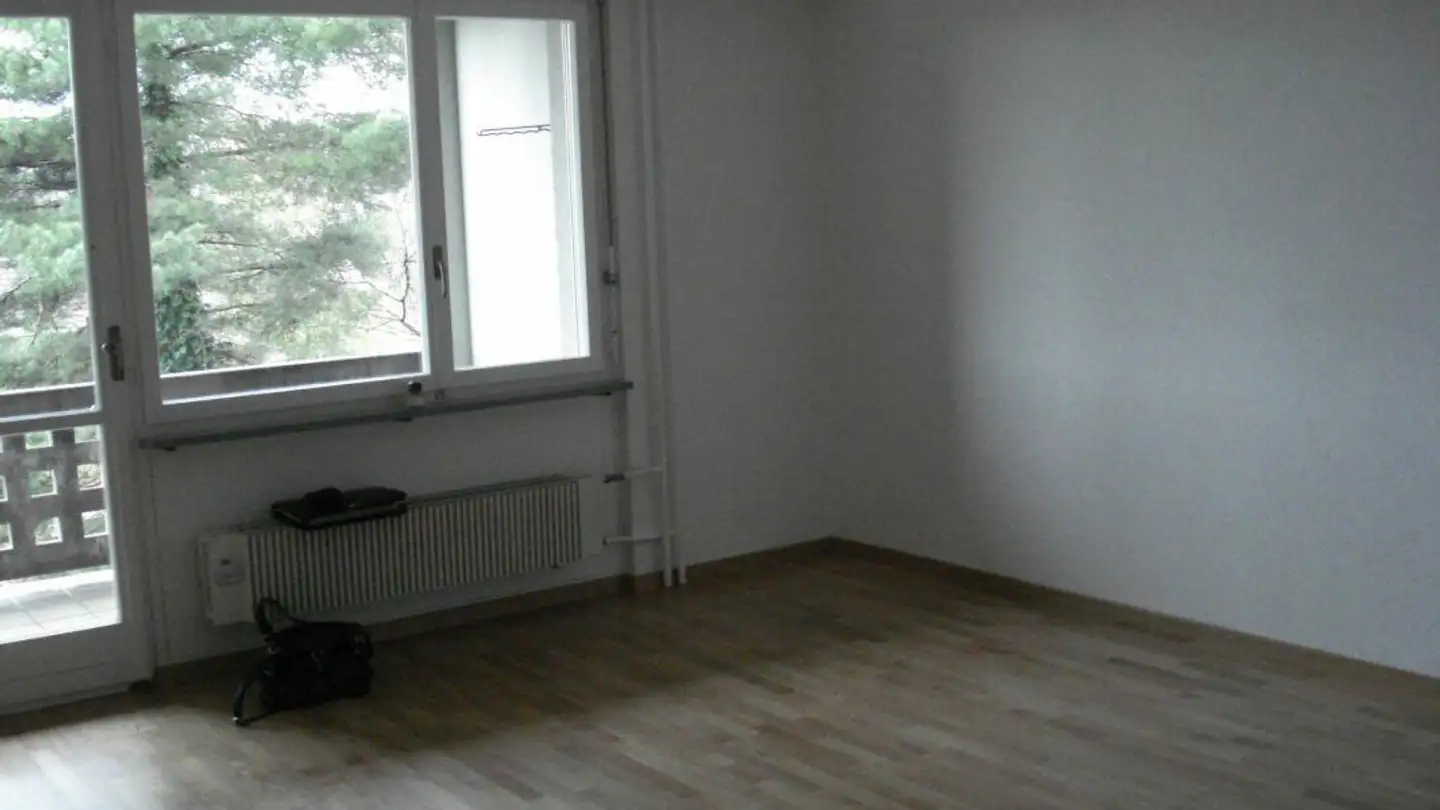 Appartamento in affitto - Greyerzstrasse 85, 3013 Bern - Foto 2