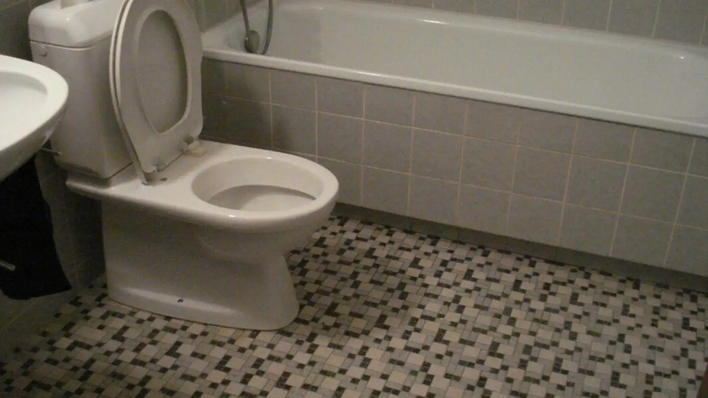 Appartamento in affitto - Greyerzstrasse 85, 3013 Bern - Foto 3