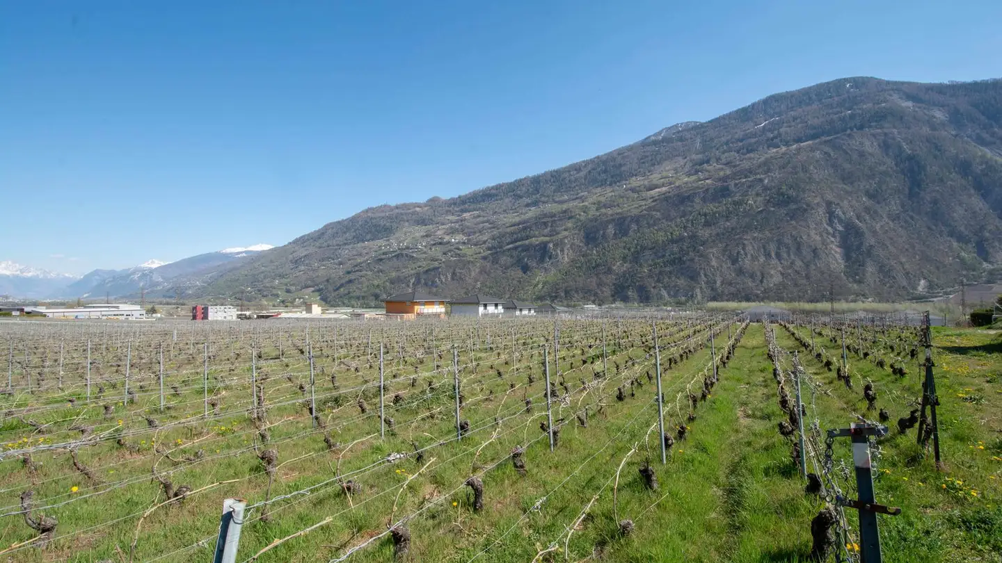 Casa singola in vendita - Impasse Romane, 1955 St-Pierre-de-Clages - Photo 3