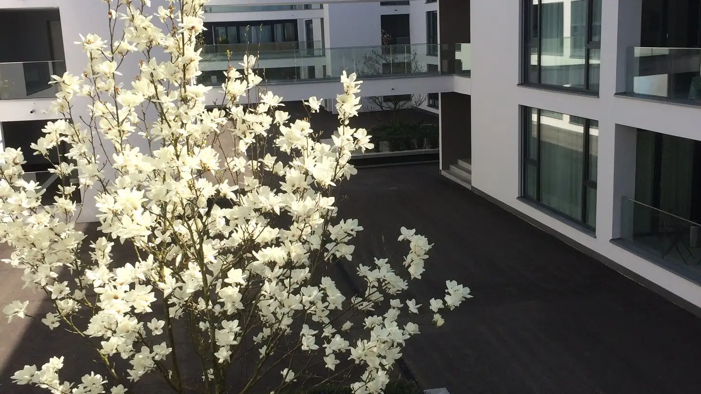 Appartement à louer - Aarenaustrasse 30, 5000 Aarau - Photo 2