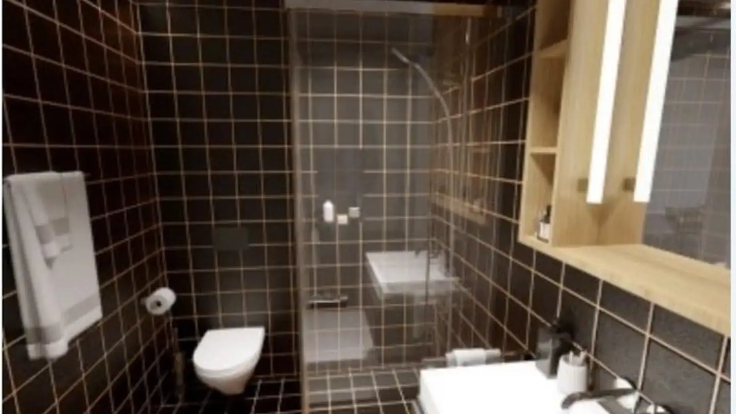 Wohnung mieten - 8047 Zürich