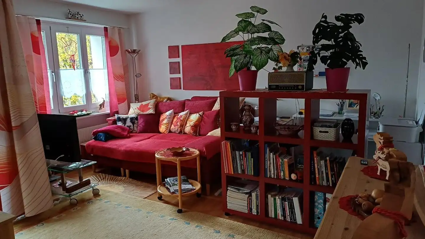 Appartement à louer - 8610 Uster