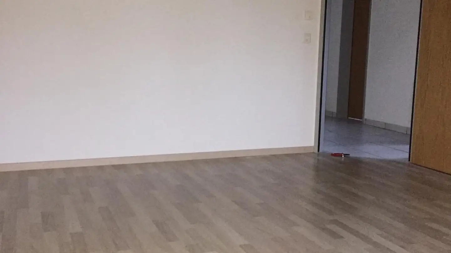Appartement à louer - Alte Döttingerstrasse 19, 5306 Tegerfelden - Photo 2