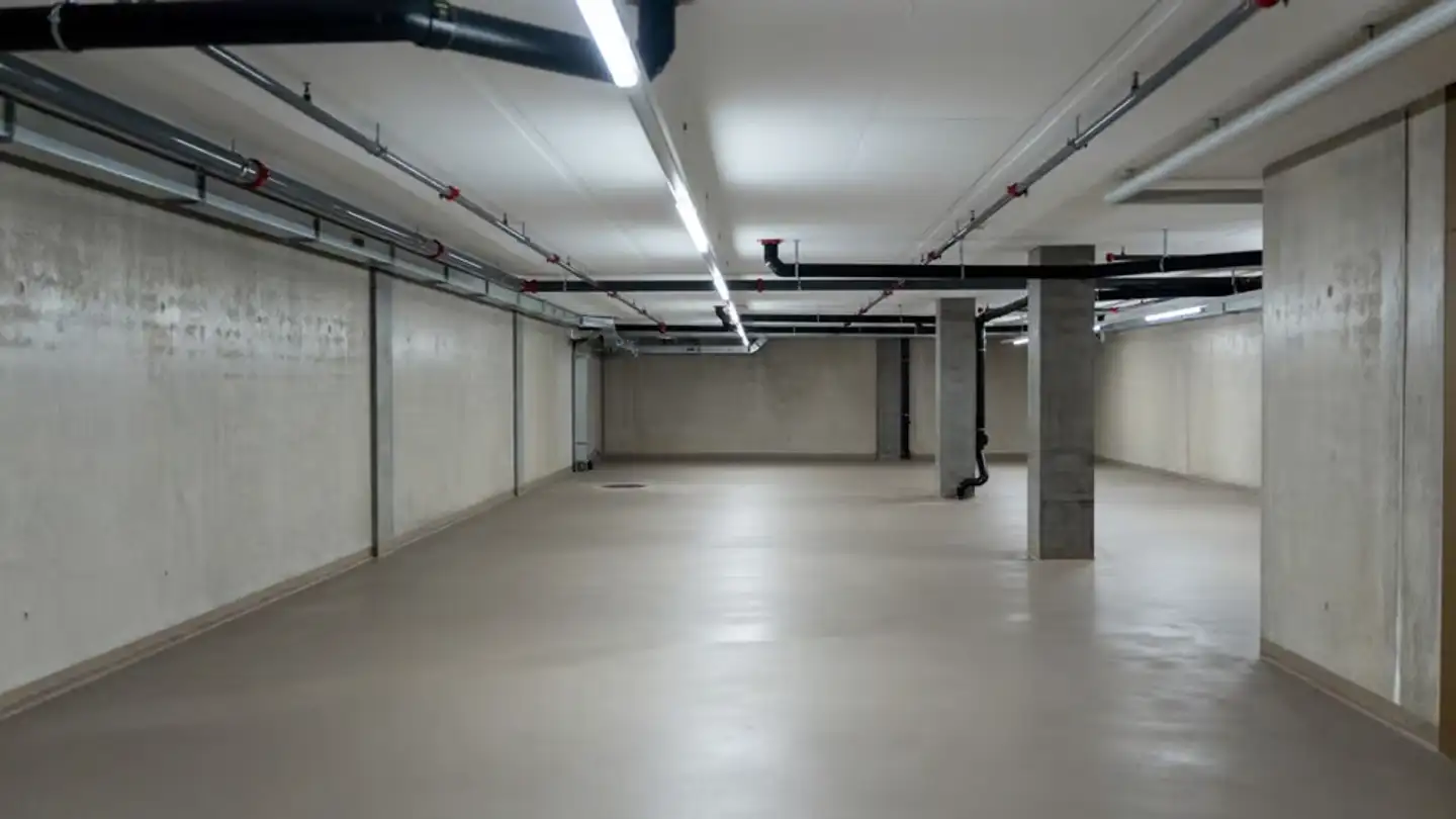 Commerciale in affitto - 1212 Grand-Lancy