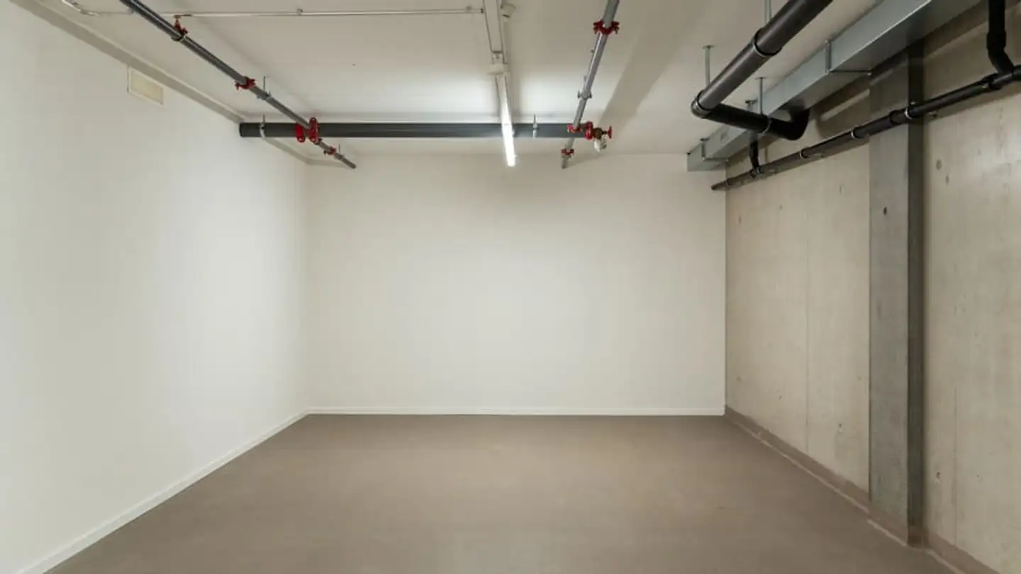 Commerciale in affitto - 1212 Grand-Lancy - Foto 4