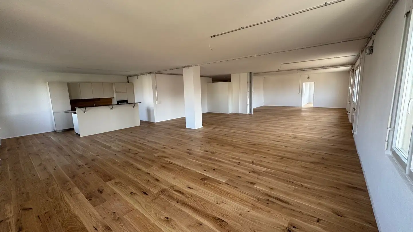 Loft for rent - Alleeweg 59, 4932 Lotzwil - Photo 2