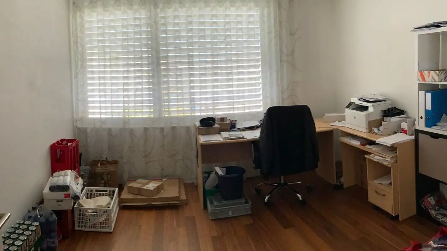 Apartment for rent - Hohleichstrasse 2, 8360 Eschlikon TG - Photo 3