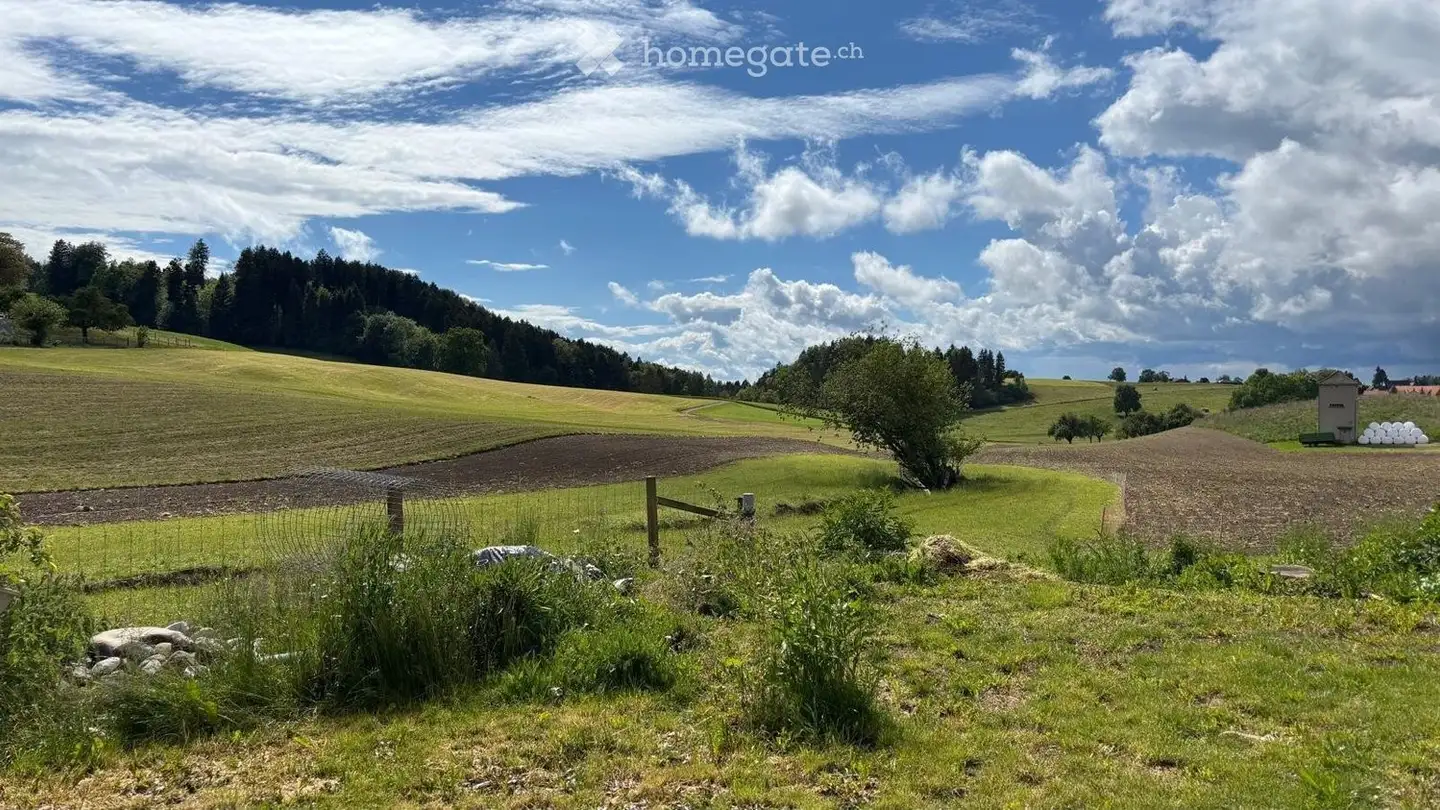 Single house for rent - Münchwilerstrasse 6a, 9546 Tuttwil - Photo 3