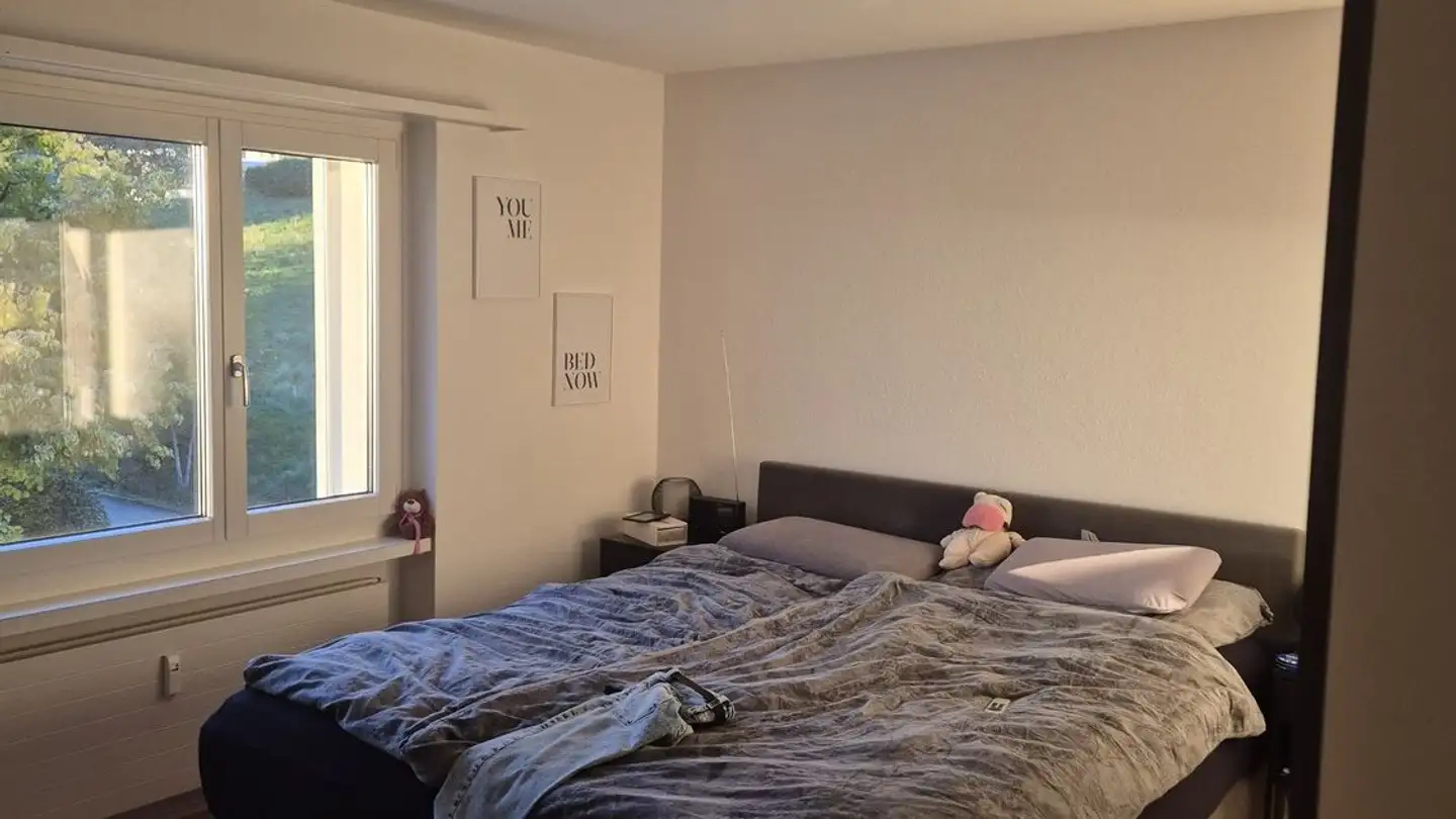 Appartement à louer - Schönhaldenstrasse 16, 8708 Männedorf - Photo 3