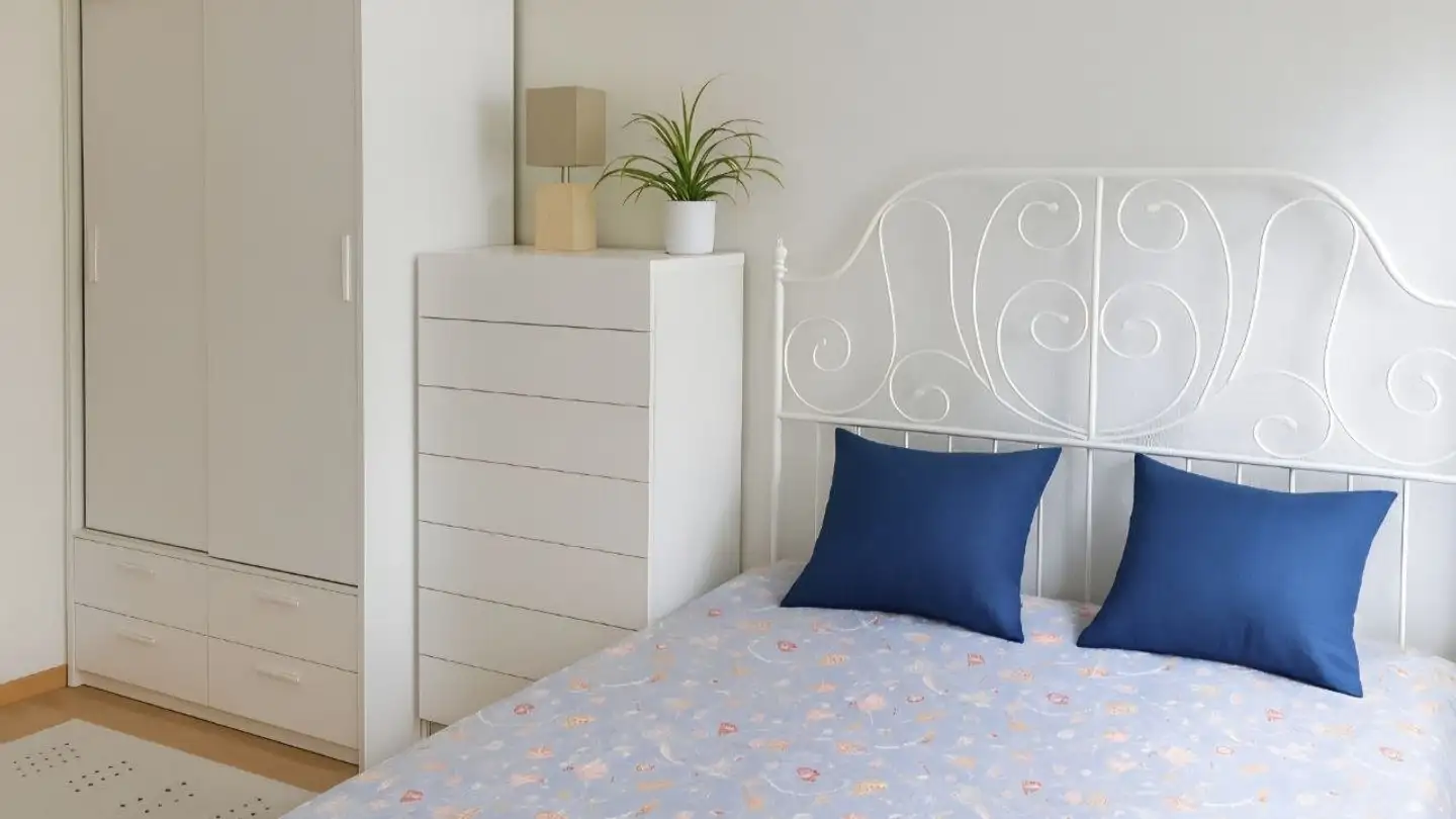 Furnished apartment for rent - 3013 Bern