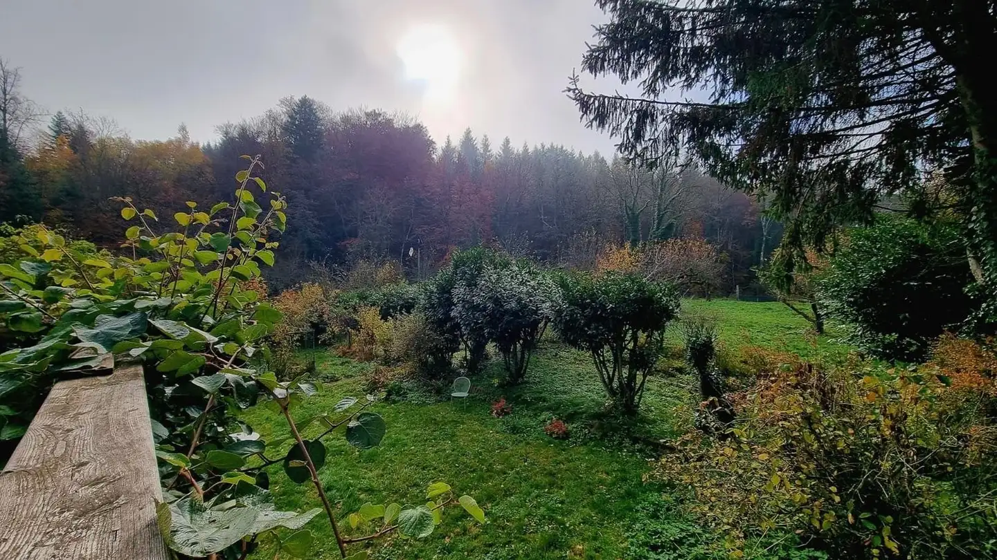 Stanza singola in affitto - 1724 Zénauva - Foto 3