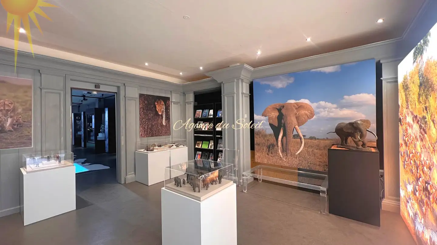 Mixed-use building for sale - Route De Crans-Montana, 3963 Montana - Photo 2