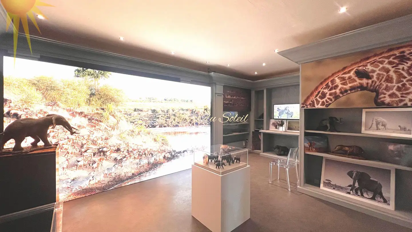 Mixed-use building for sale - Route De Crans-Montana, 3963 Montana - Photo 4