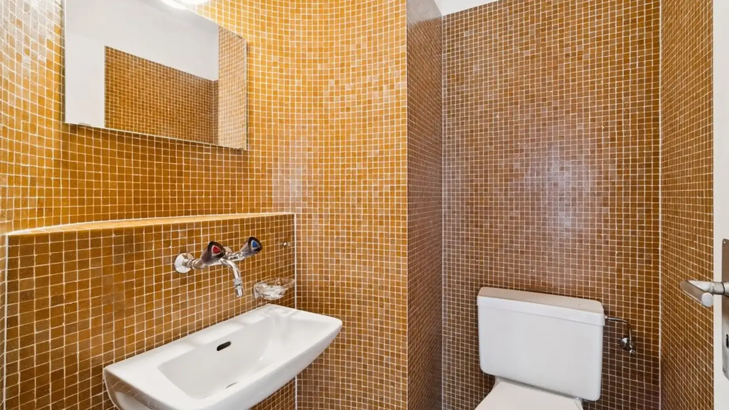 Appartamento in affitto - Berghaldenstrasse 62, 8053 Zürich - Foto 4