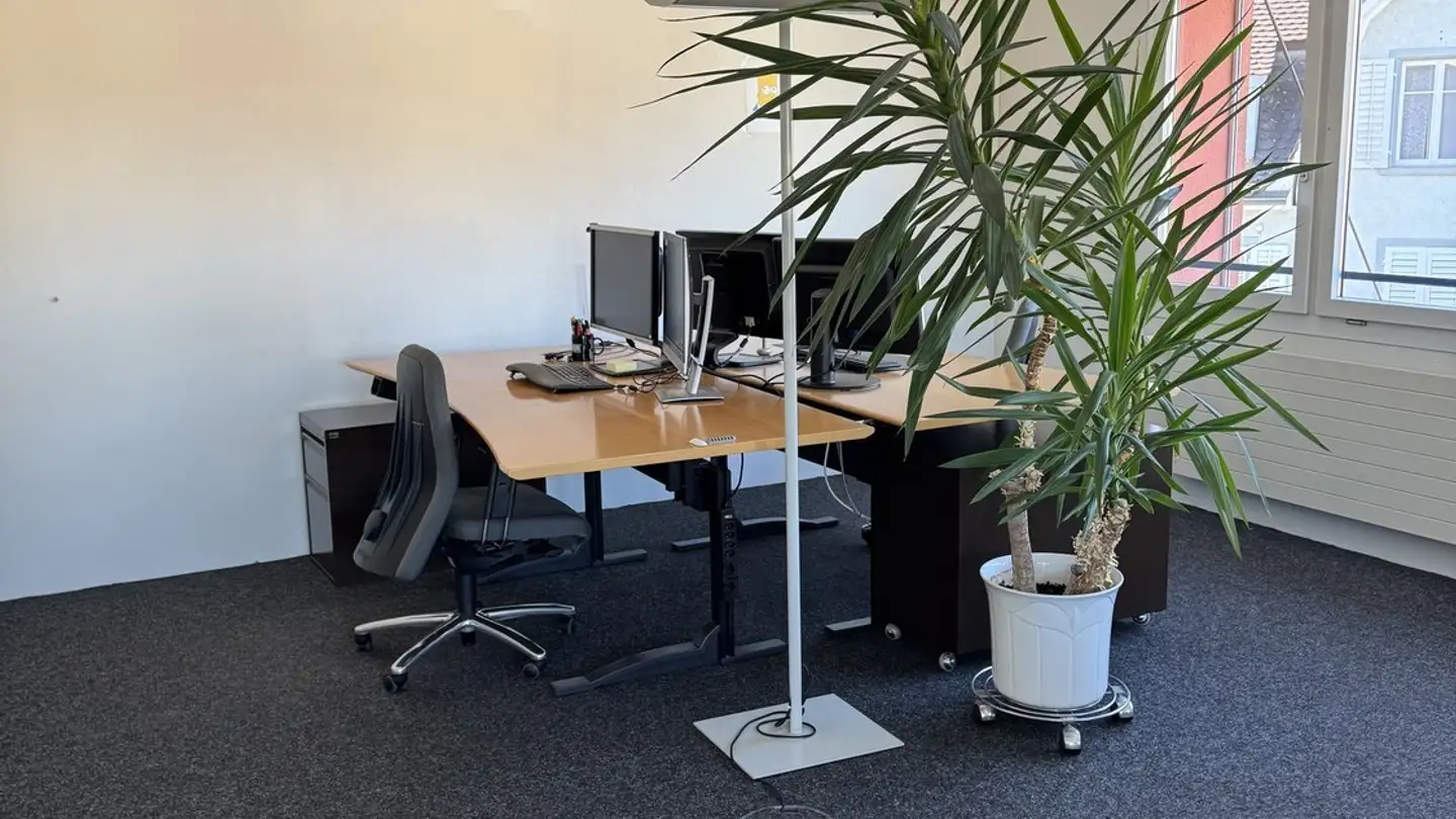 Bürofläche mieten - Gaswerkstrasse 22b, 8500 Frauenfeld - Foto 2