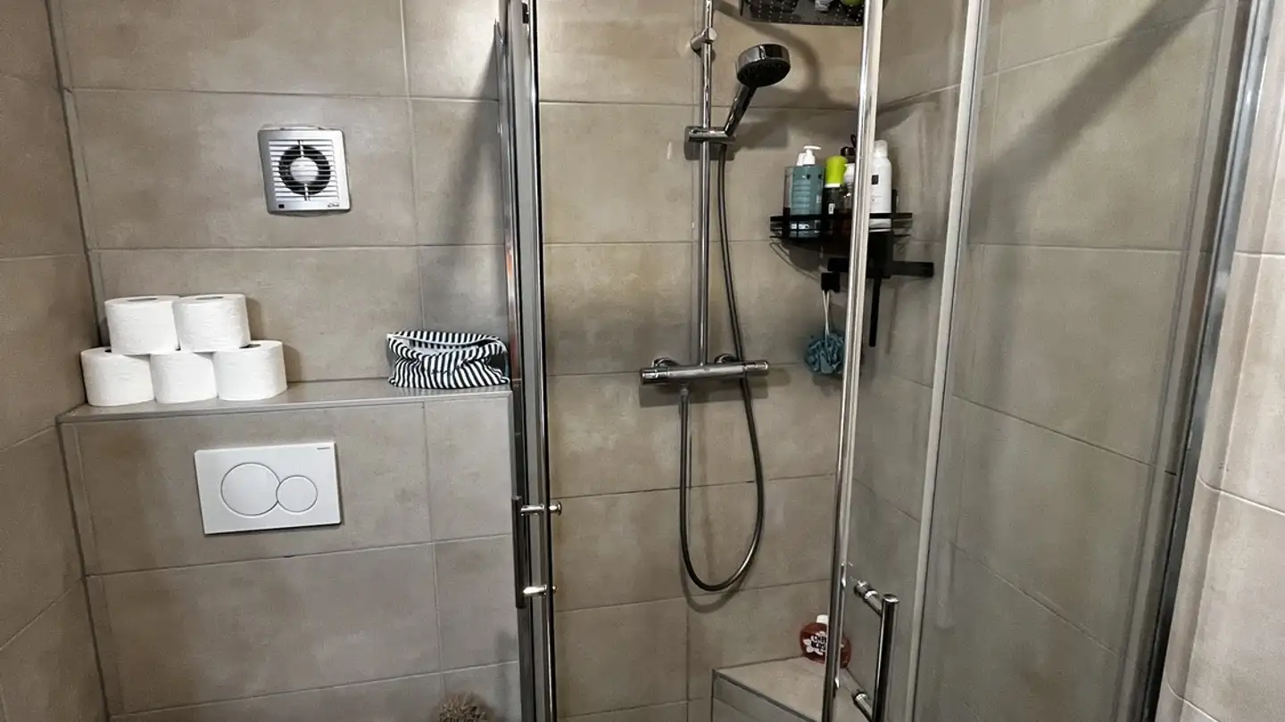 Appartamento in affitto - Route De La Gruyère, 1634 La Roche FR - Photo 2